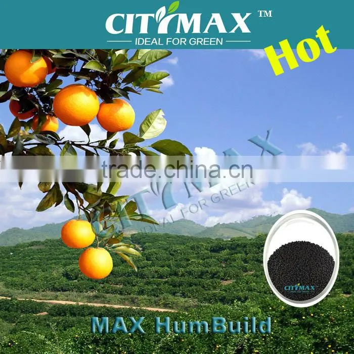 60% Humic Acid Dry Basis From Leonardite