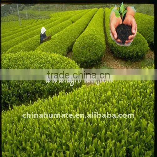 Humic acid and fulvic flake organic fertilizer extracted from leonardite