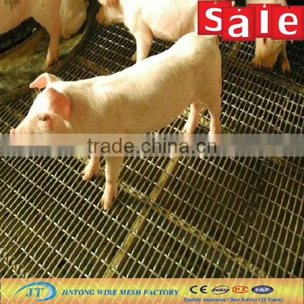 Galvanized crimped wire msh/ metal wire mesh (21 years oversea sale )