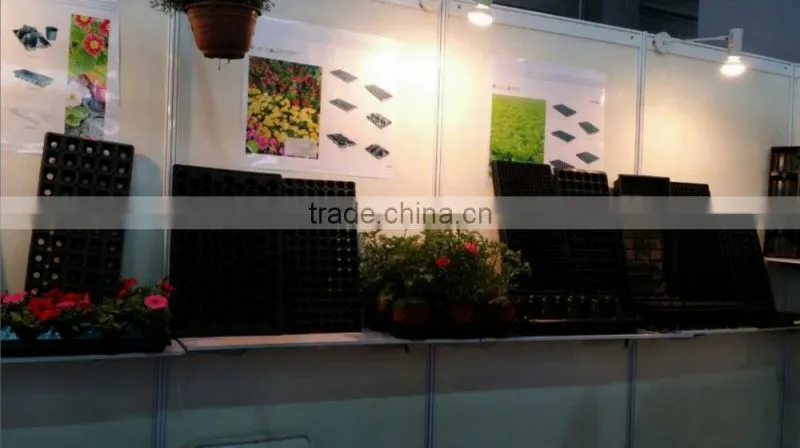128 Cell Black PS Plastic Horticulture Plant Nursery Seed Starting Tray Manufactory Price