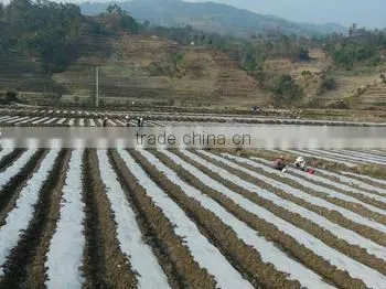 high quality greenhouse film,biodegradable mulch film