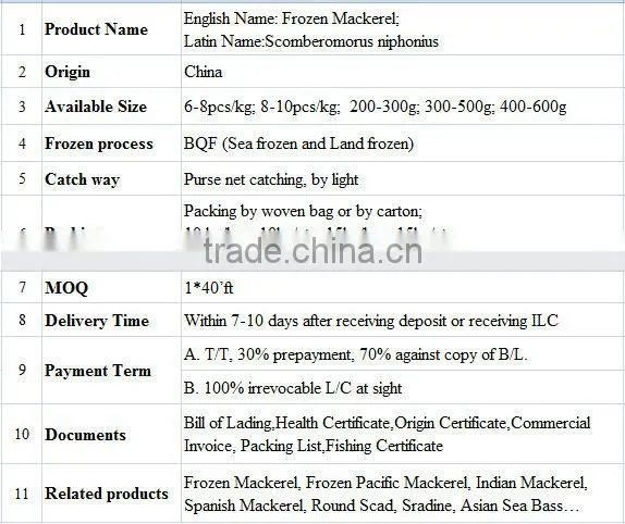fishing supplies from china frozen mackerel