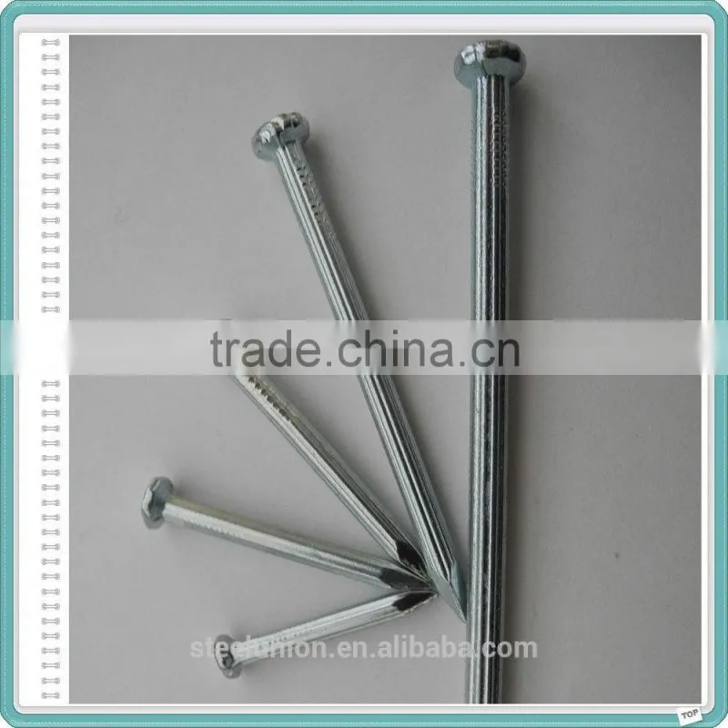 E.G. Galvanized Steel Concrete Nails with Low Price