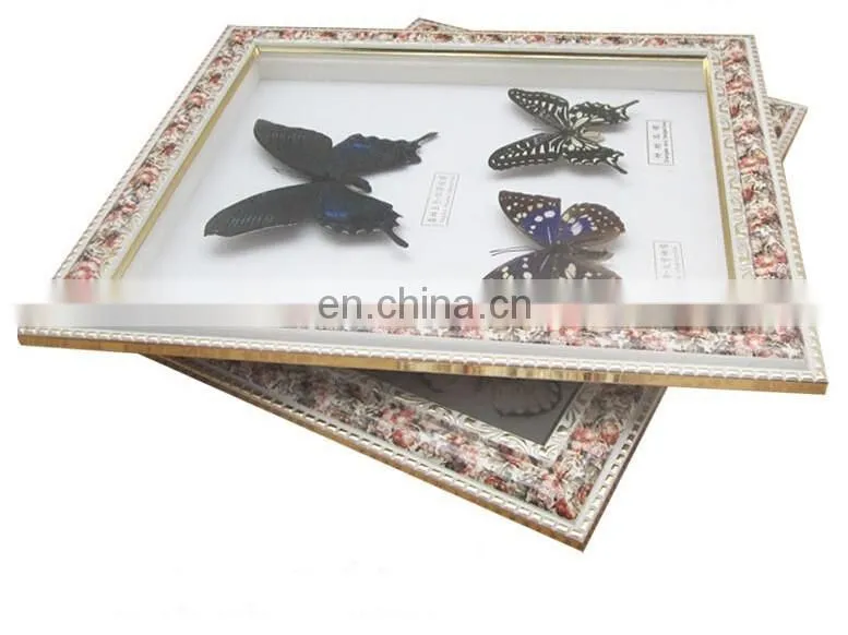 wall pedant mural butterfly frame for gifts