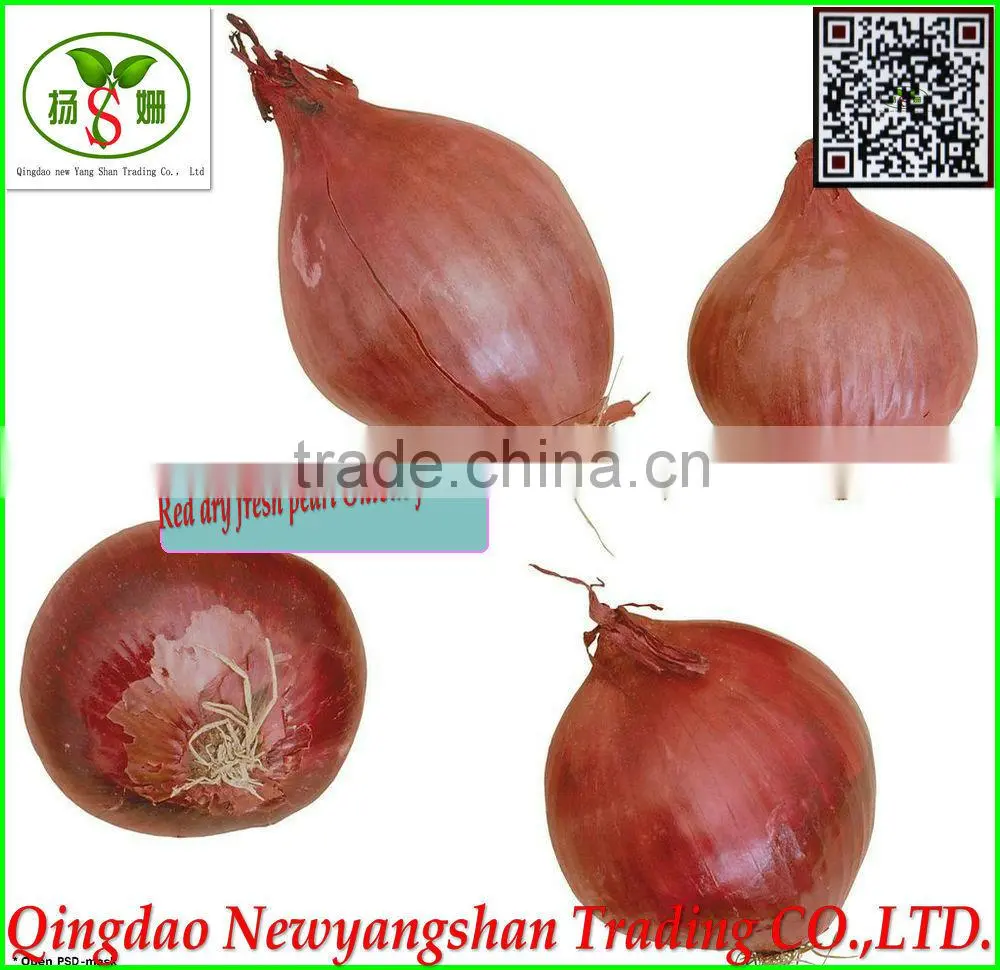 Red Dried Fresh Onion /Fresh Onion/red onion