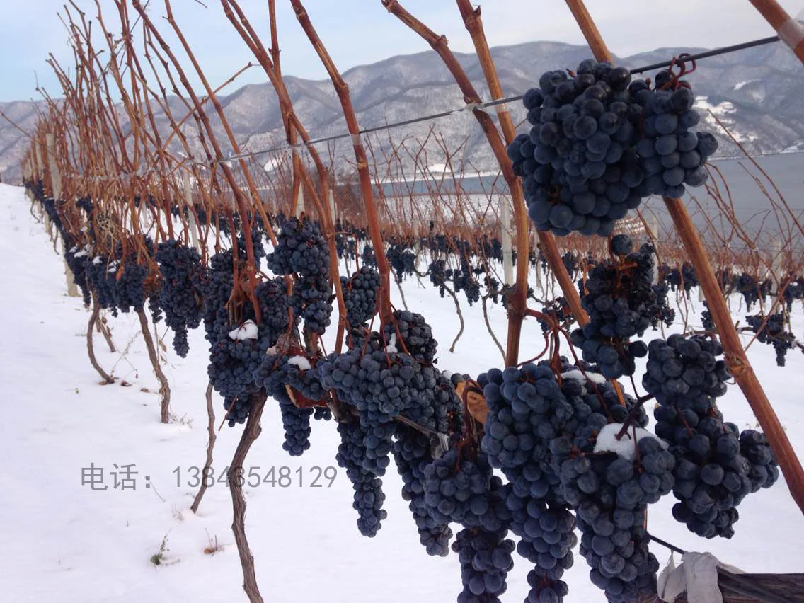 Ji\'an Midea Manor Winery Co., Ltd company overview - view 3