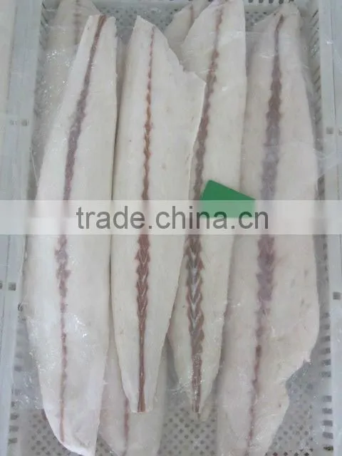 Fresh Frozen Oilfish fillets Hot saleing