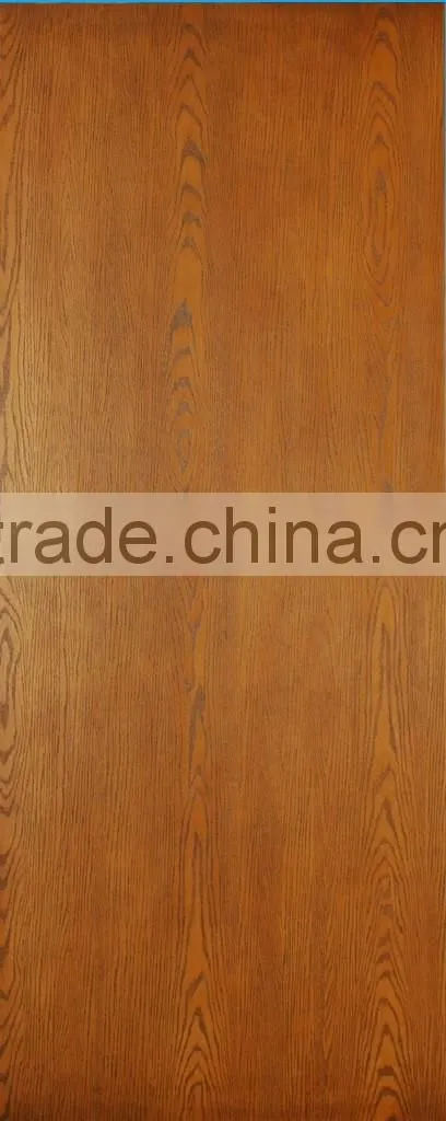 Fiberglass door and door skin/door fiberglass