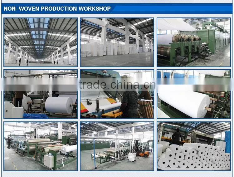 China Oeko-Tex Standard 100 Eco-friendly PP Spunbond Nonwoven Fabric for Baby Diaper