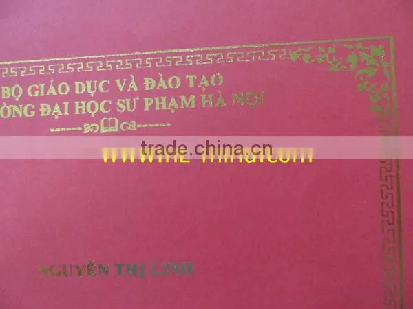 China supply advertisement (TJ-256) Digital hot Foil Stamping Machine