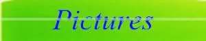colorful feature mobile phone 1.8 inch bluetooth/MP3/facebook
