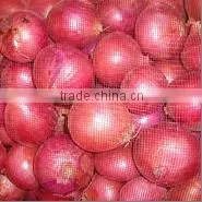 Onion