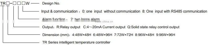 Intelligent temperature instrument