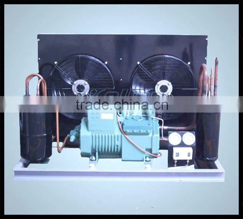 Small Cold Room to store ice