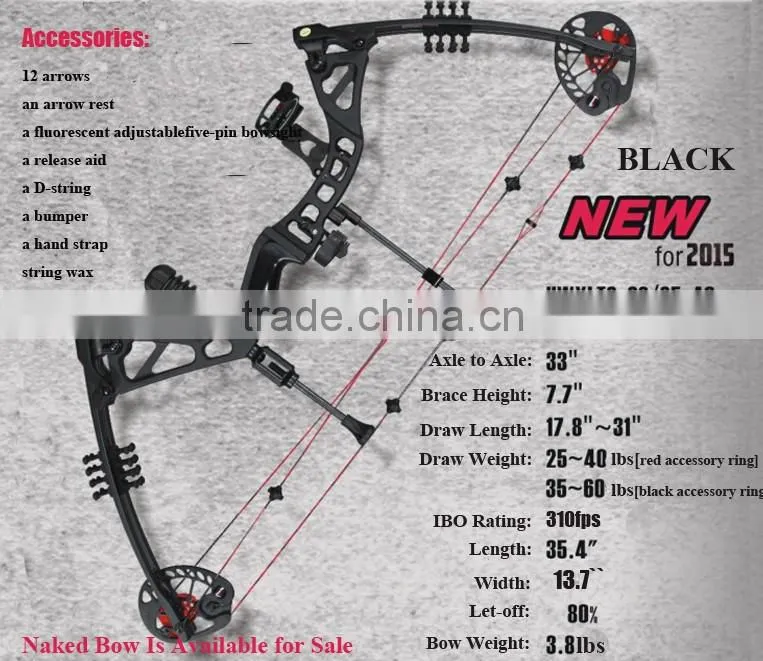 China Archery Compound Bow 195 for Hunting and Shooting