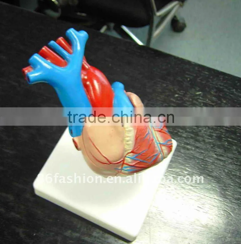 medical device of body mold production