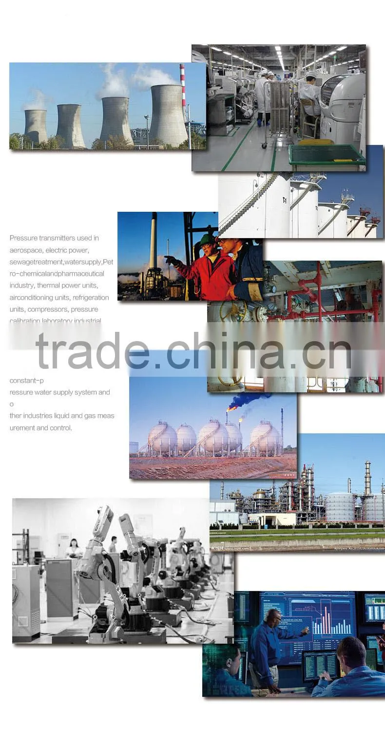TP-C-1 high resolution industrial gas pressure sensor 0-10v hersman lead cable factory