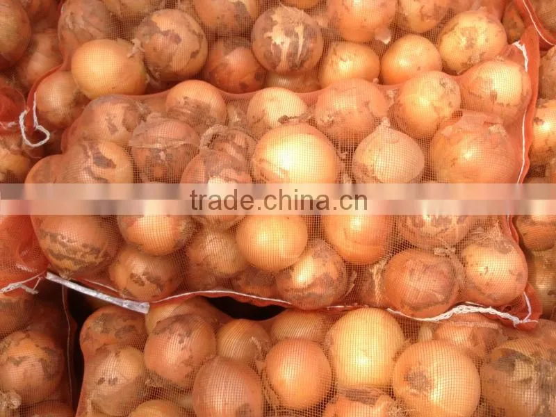 Fresh Onion Export to Dubai