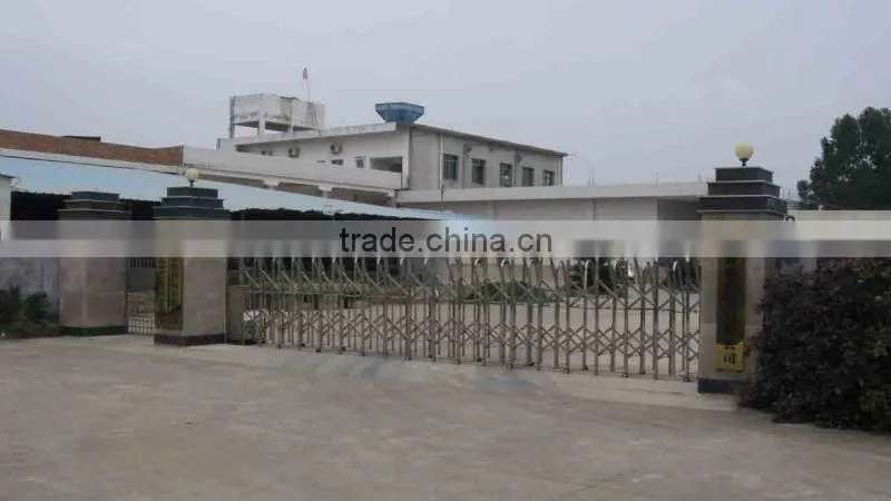 2015 New season of frozen tilapia from China