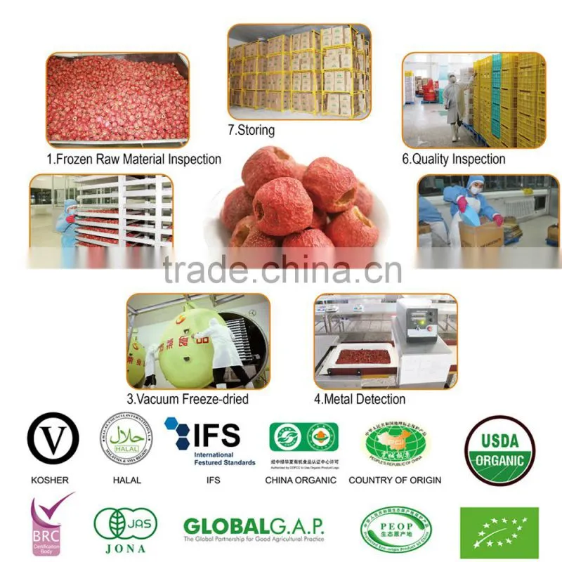 Hot Sale Freeze-dried Organic Whole Pitted Hawthorn Berry