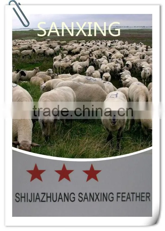 100% dyed wool yarn for making socks, raw white or dyed colors