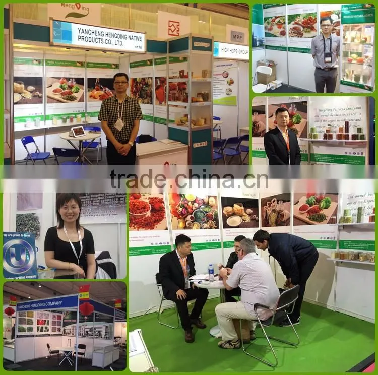Professional Spices Manufacturer farm green,red bell pepper price for salad, soup