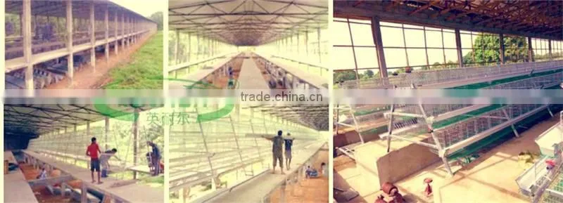 China wholesale custom high quality automatic feeder chicken layer cage /broiler cage