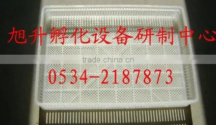 XSA-8 Advanced Electronic Egg Incubator---Full-Automatic Combination Incubator and Hatcher