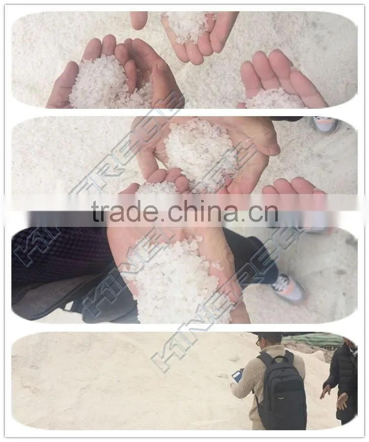 High Performance Stirring-type Salt Washer