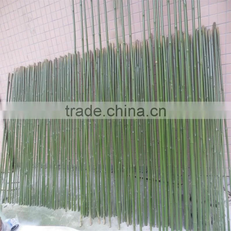 New style artificial bamboo plant/high imitation evergreen bamboo for decoration