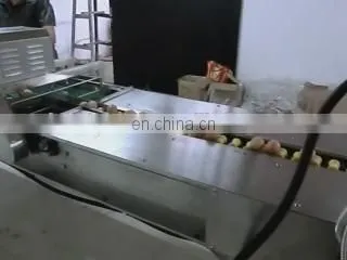 Factory Professional Selling Full-function Hen egg/Duck egg/Salted duck egg washing machine