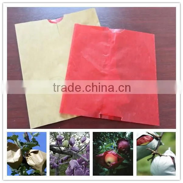 Hot selling apple growing paper bag