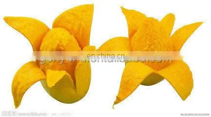 NEW TYPE fruit skin peeling machine/mango peeling machine with advanced design