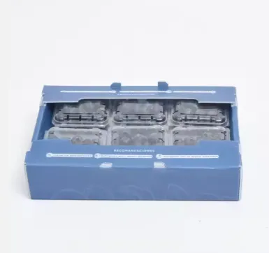 水果2
