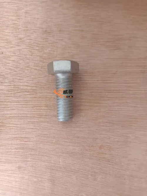 Bolt 4011001250 1.jpg
