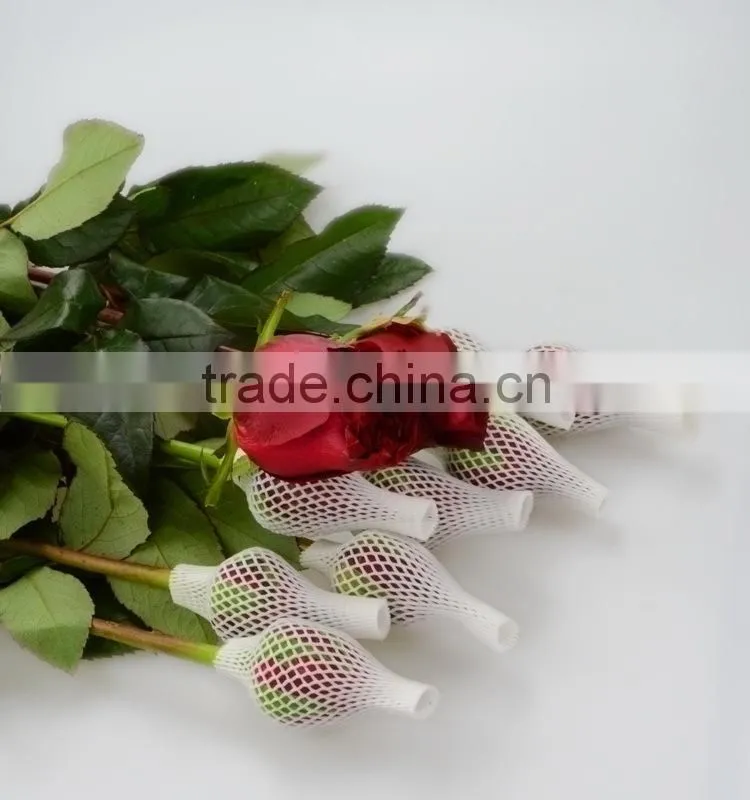 Alibaba china Crazy Selling china fresh black magic rose flower