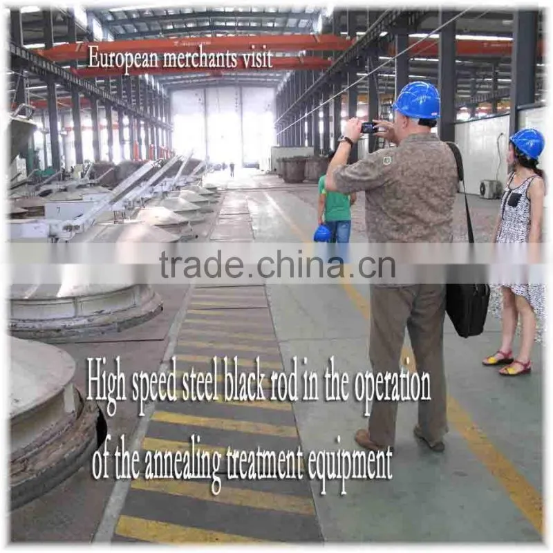 m2 t1 w18 Alloy Steel Hot Rolled high speed steel bar