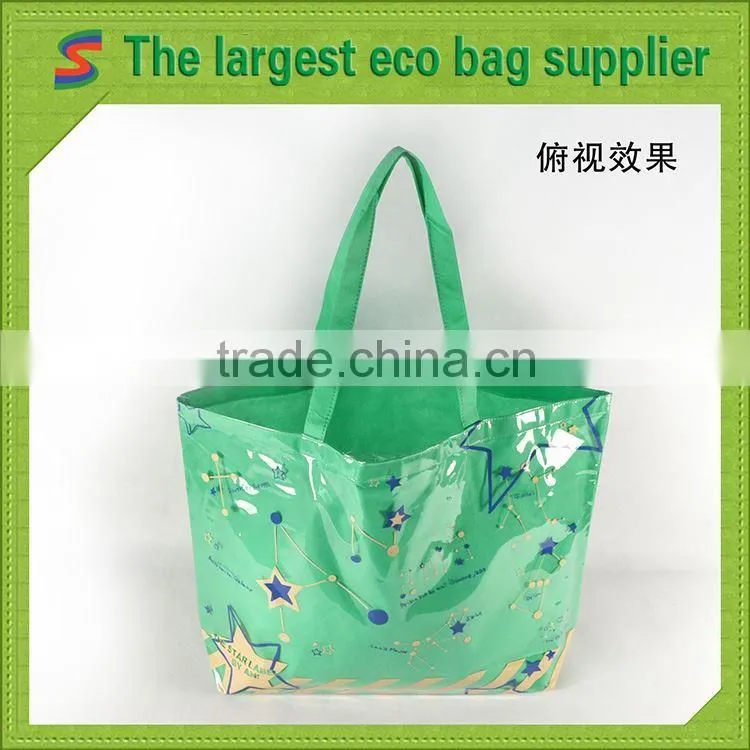 LB95 Pp Non Woven Matt Laminated Bag