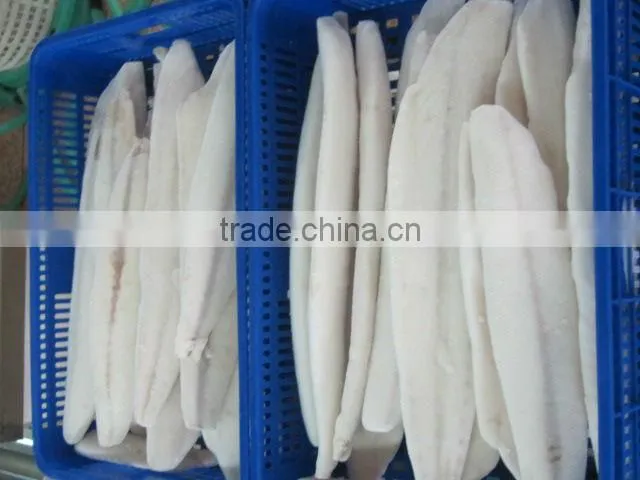 Fresh Frozen Oilfish fillets Hot saleing