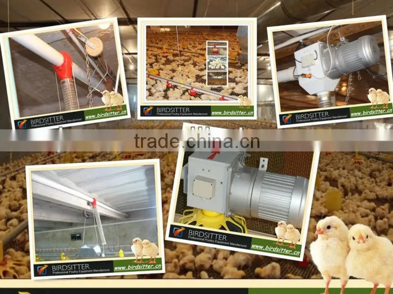 BIRDSITTER modern uae chicken farm poultry broiler chicken machine