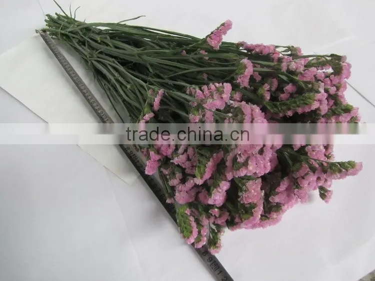 Colorful hot sale decorative supplies myosotis