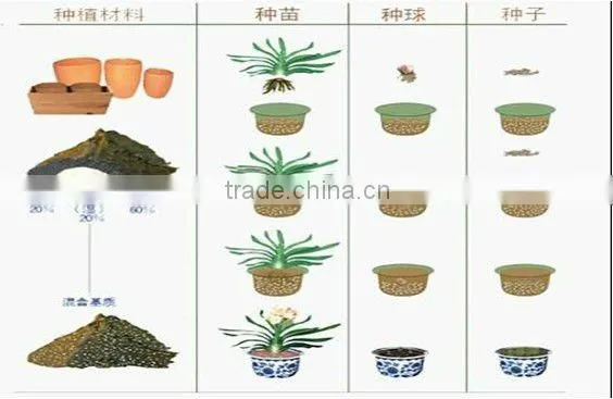 Polymer gel crystals ( super absorbent polymer ) used for agriculture