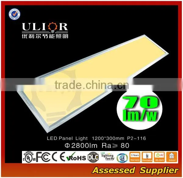 P15A-225 modern room light Up to 115lm/w CE RoHS FCC DLC CERTIFICATED top brand led ceiling light for office using