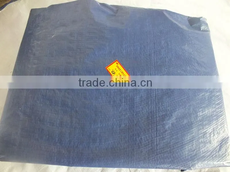 Blue/Silver PP Plastic Laminating Tarps Sheets Tarpaulin Plastic Sheet with All Specifications China Manufacturing