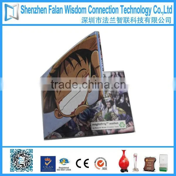 Tyvek mighty wallet