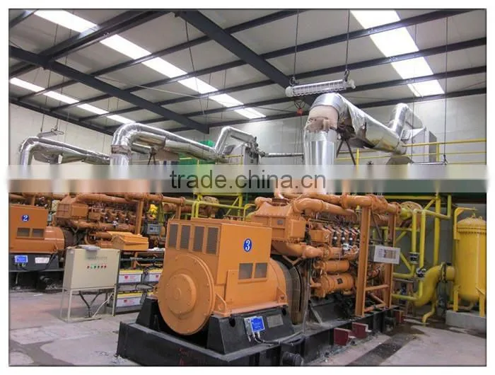 Global warranty High efficient CE ISO Approved Best lpg gas generator price