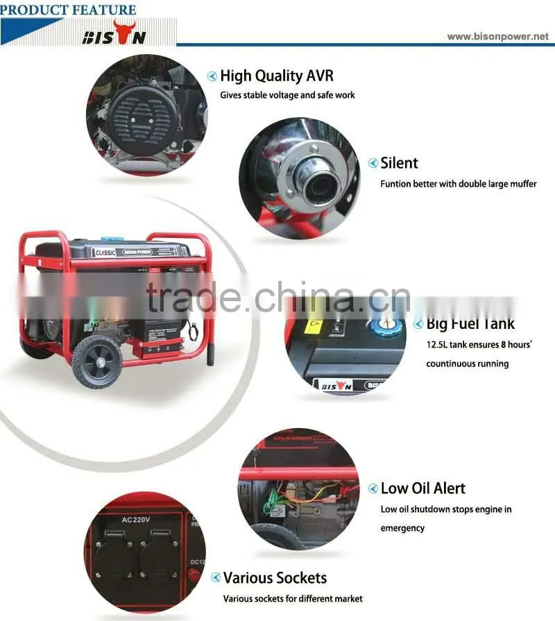 Bison China OEM cam professional 6500 gasoline generator king max power generator