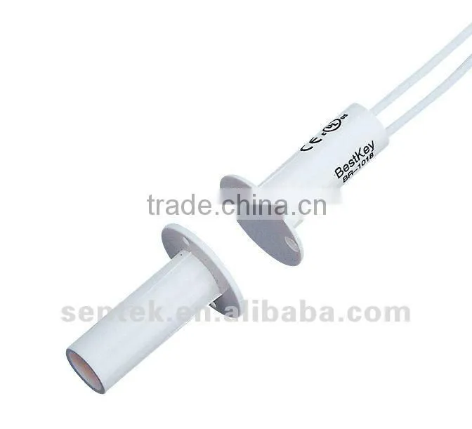 Magnetic door Contact reed switch BR-1018