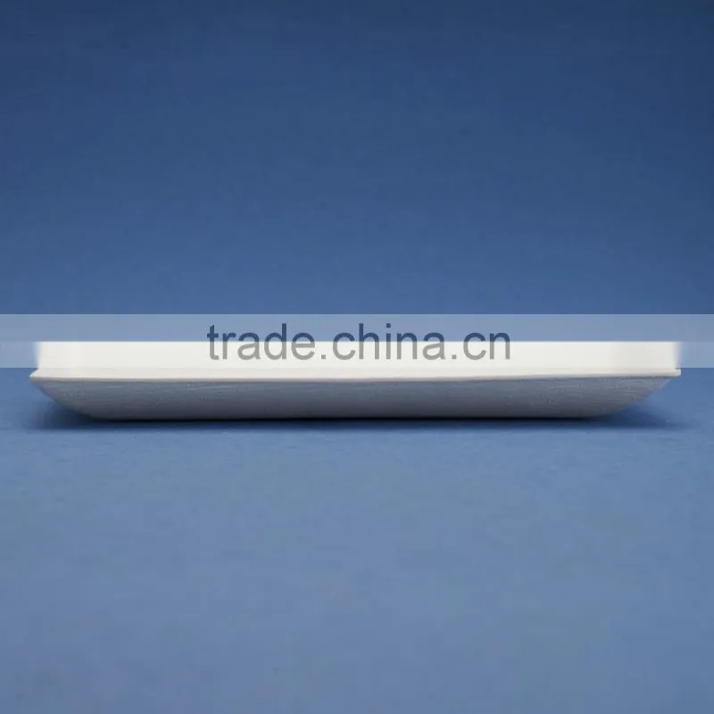 F1-PL-07-R 7*3.5 inches bleached disposable flate rectangle shape sugarcane dinner plates