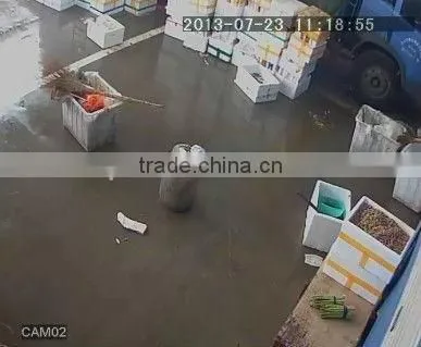 Guangzhou Anspo Vandalproof Best Price CCD Sensor P2P MIni 480TVL hidden Analog CCTV camera